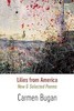 <em>Lilies From America</em>