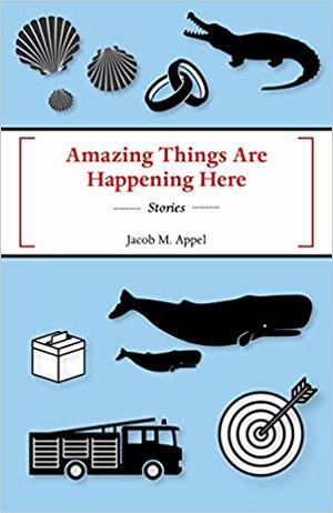 <em>Amazing Things Are Happening Here</em>
