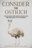 Consider the Ostrich: Unlocking the Book of Job and the Blessing of Suffering